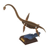 Prehistoric life