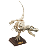 Prehistoric life