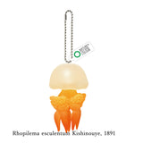Glowing Jellyfish PUNIPUNI Mascot