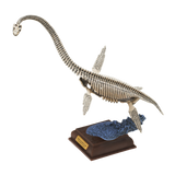 Prehistoric life