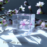【Limited to 2 sets】Sola cube sakura set of 4 new items