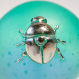 Tahu beetle【Yuuka Shibasaki】