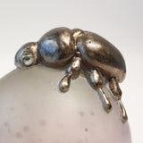 Kusumi beetle【Yuuka Shibasaki】
