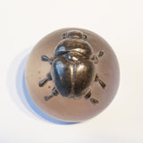 Kusumi beetle【Yuuka Shibasaki】