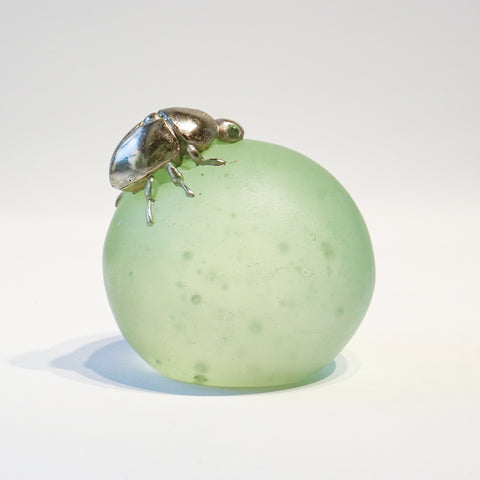 Tsumekusa beetle【Yuuka Shibasaki】