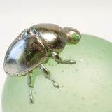 Tsumekusa beetle【Yuuka Shibasaki】