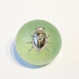Tsumekusa beetle【Yuuka Shibasaki】