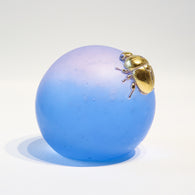 Pikapika beetle【Yuuka Shibasaki】