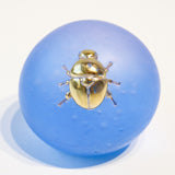 Pikapika beetle【Yuuka Shibasaki】