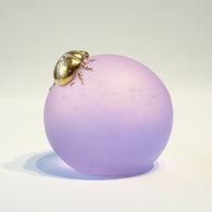 Momome beetle【Yuuka Shibasaki】