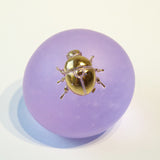 Momome beetle【Yuuka Shibasaki】