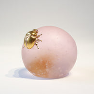 Sakura beetle【Yuuka Shibasaki】