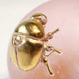 Sakura beetle【Yuuka Shibasaki】