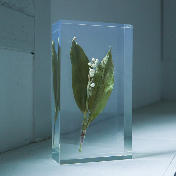 Lily of the valley – Usagi no Nedoko
