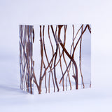 Salix matsudana var. tortuosa ◇ Sola grid