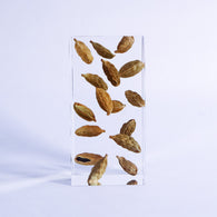 Cardamom ◇ Sola grid