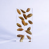 Cardamom ◇ Sola grid