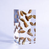 Cardamom ◇ Sola grid