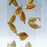 Cardamom ◇ Sola grid
