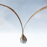 Winged seeds ◇ Sola grid