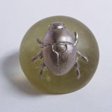 Bister scarab beetle【Yuuka Shibasaki】