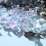 【Limited to 2 sets】Sola cube sakura set of 4 new items