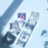 【Limited to 2 sets】Sola cube sakura set of 4 new items