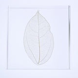 Skeleton leaf