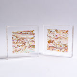 Abalone Shell Slice