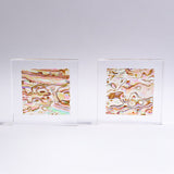 Abalone Shell Slice