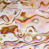 Abalone Shell Slice