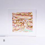 Abalone Shell Slice