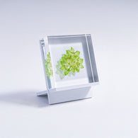 Sola tile Stand