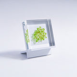 Sola tile Stand