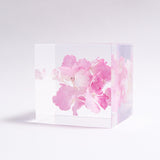 Hydrangea