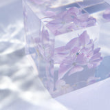 Hydrangea