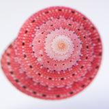 Clanculus puniceus