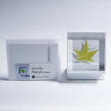 Sola tile Stand