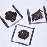 Stony-iron meteorite (L-Size)
