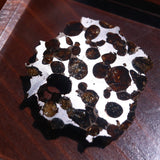 Stony-iron meteorite (L-Size)