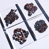 Stony-iron meteorite (L-Size)