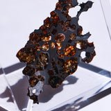 Stony-iron meteorite (L-Size)