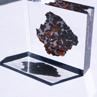 Stony-iron meteorite (L-Size)