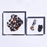 Stony-iron meteorite (L-Size)