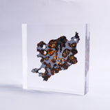 Stony-iron meteorite (L-Size)