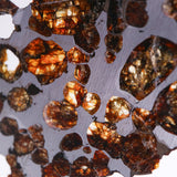 Stony-iron meteorite (L-Size)