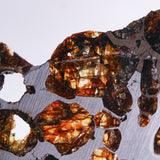 Stony-iron meteorite (L-Size)