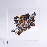 Stony-iron meteorite (L-Size)