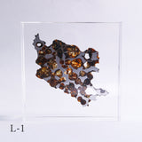 Stony-iron meteorite (L-Size)