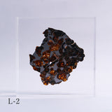 Stony-iron meteorite (L-Size)
